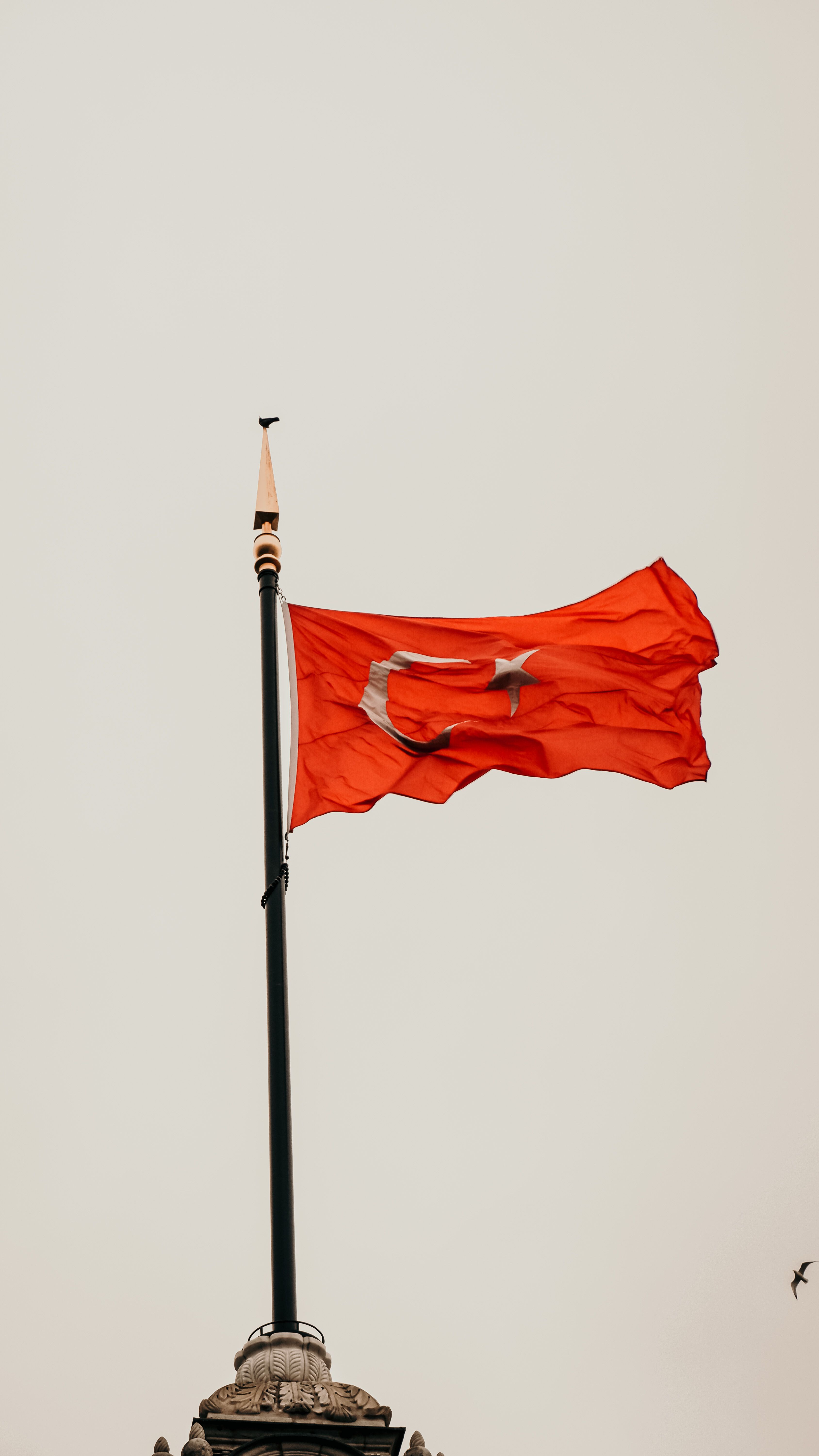 Captivating minimalist photo of Turkish flag waving high against a clear sky, symbolizing national pride.