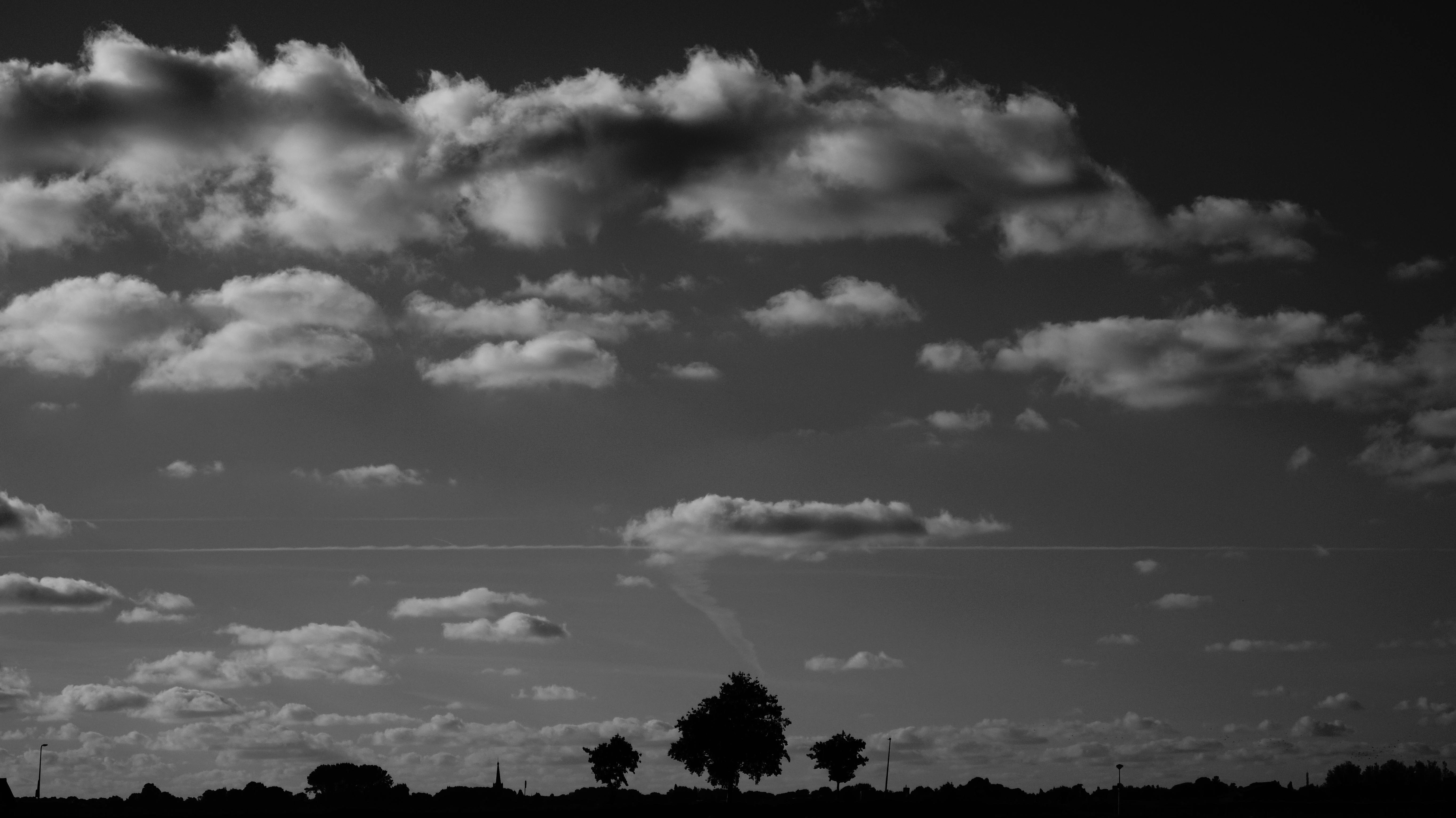Monochrome landscape with dramatic clouds and tree silhouettes.