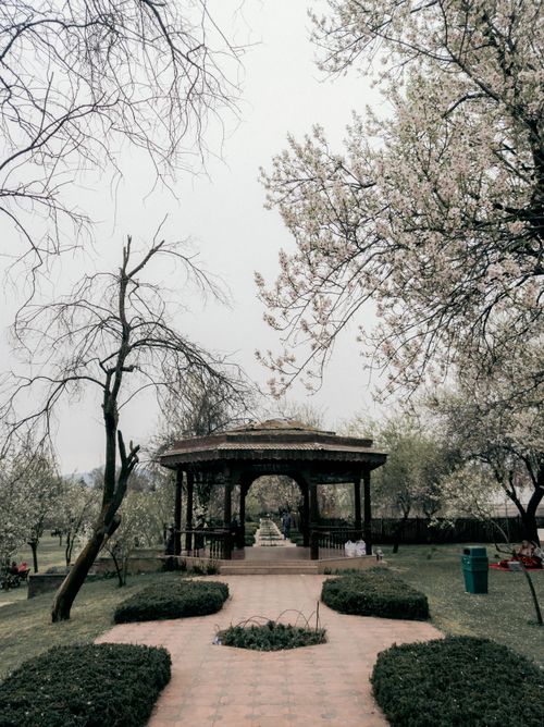 Free Serene gazebo with blooming trees in a tranquil park. Perfect spring landscape for relaxation themes. Stock Photo