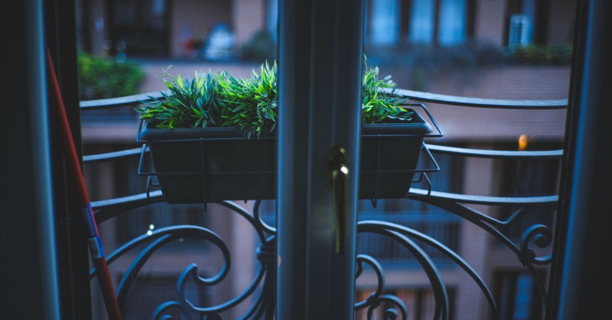 Uma varanda com corrimão ornamental e plantas verdes em vasos vistas através de uma janela.
