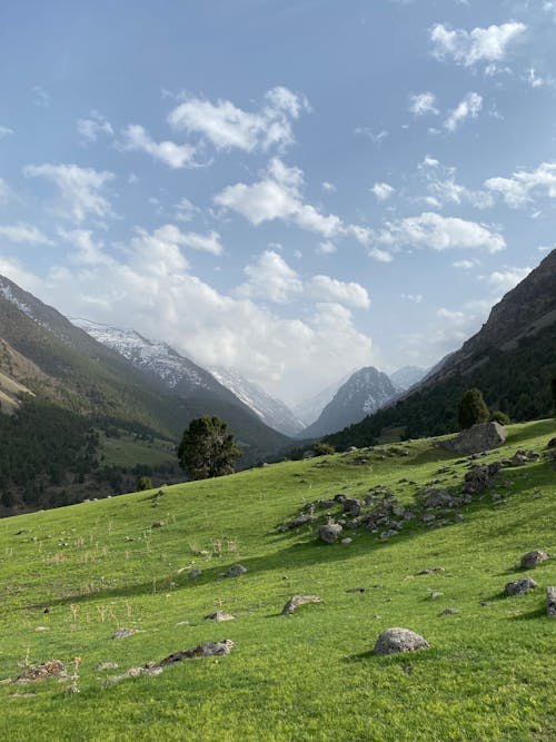 Landscape of a Grass Field in Mountains under Blue Sky