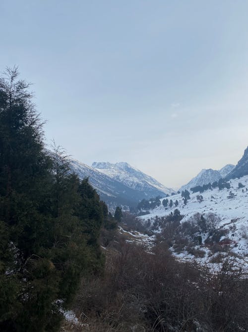 丘陵, 冬季, 垂直拍攝 的 免費圖庫相片