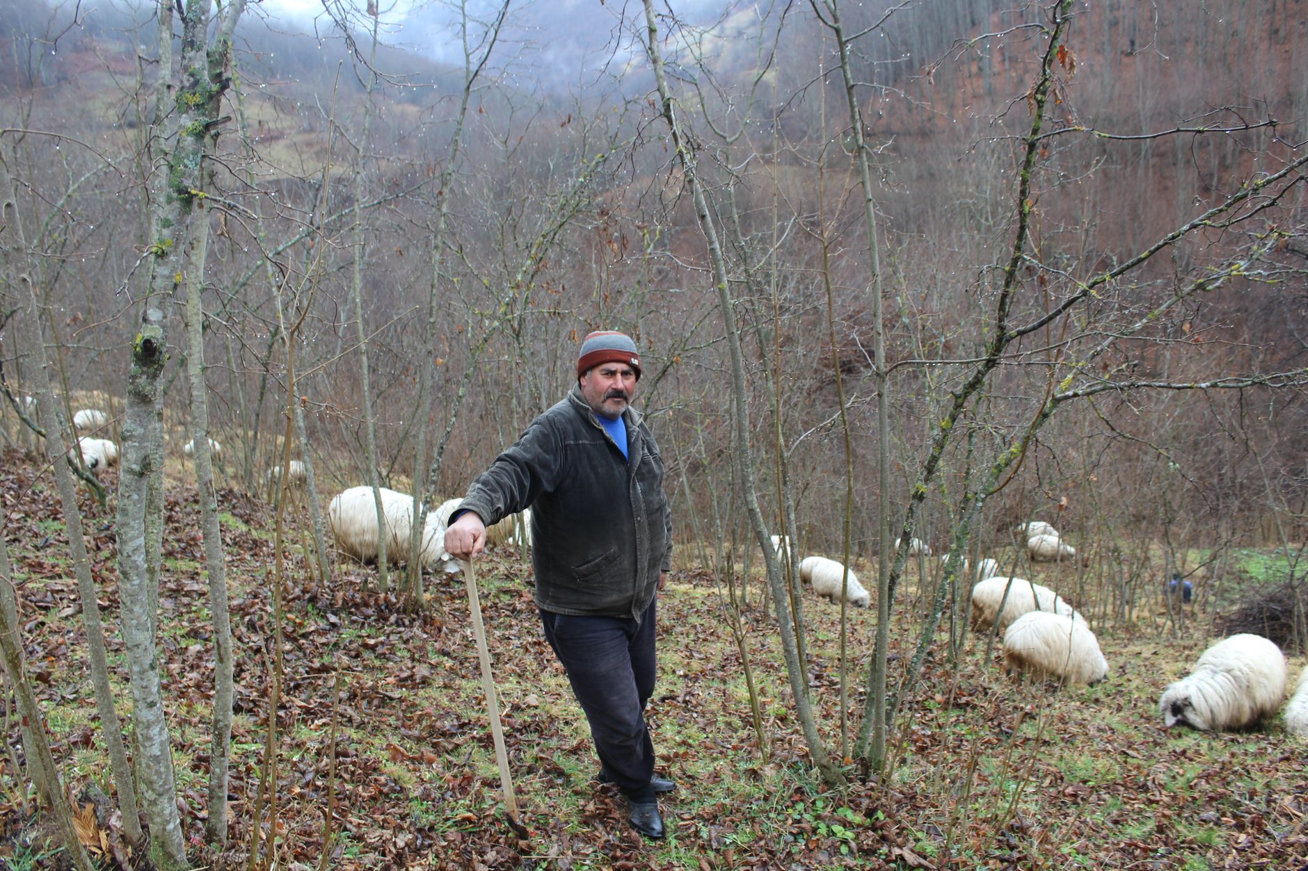Bărbat arestat în Zalău pentru tentativa de omor a pastorului