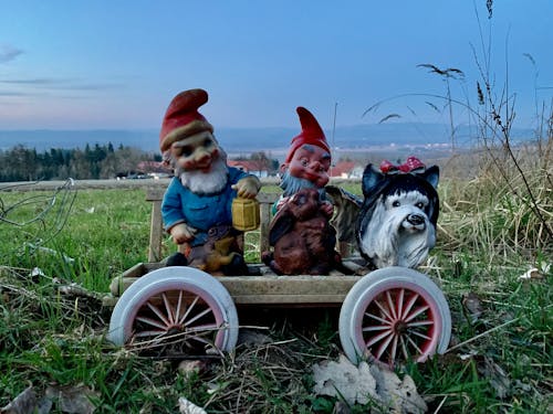Free stock photo of cart, gnomes, wagen