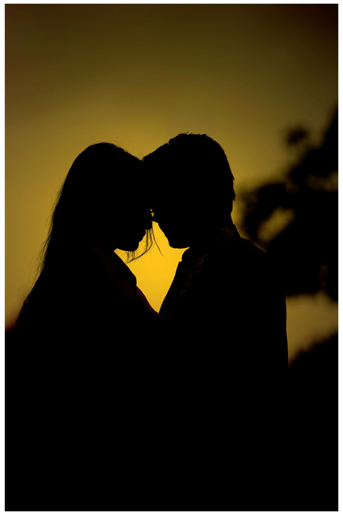 Silhouette of a Romantic Couple on the Beach during Sunset · Free Stock ...