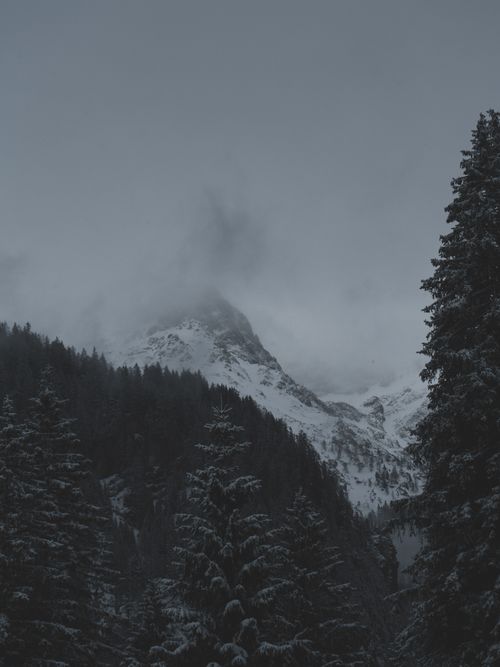 Free Snow-covered mountain with fog and pine trees in Kleinarl, Salzburg, Austria. Stock Photo