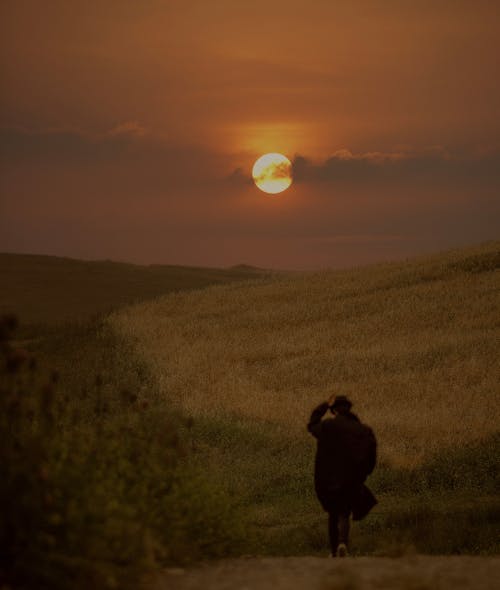 Person Walking on Meadow at Sunset