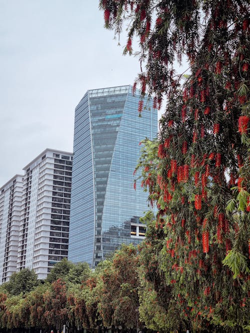 Exterior of a Modern Building 