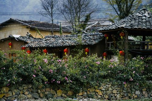 Free Charming Chinese village scene with lanterns and blossoming flowers enhancing rustic stone walls. Stock Photo