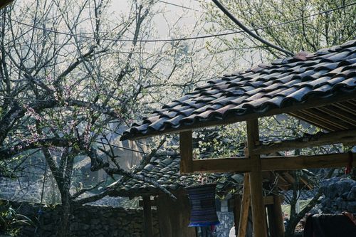 Free A picturesque farmhouse scene featuring blossoming trees and a traditional tiled roof, evoking a peaceful rural setting. Stock Photo