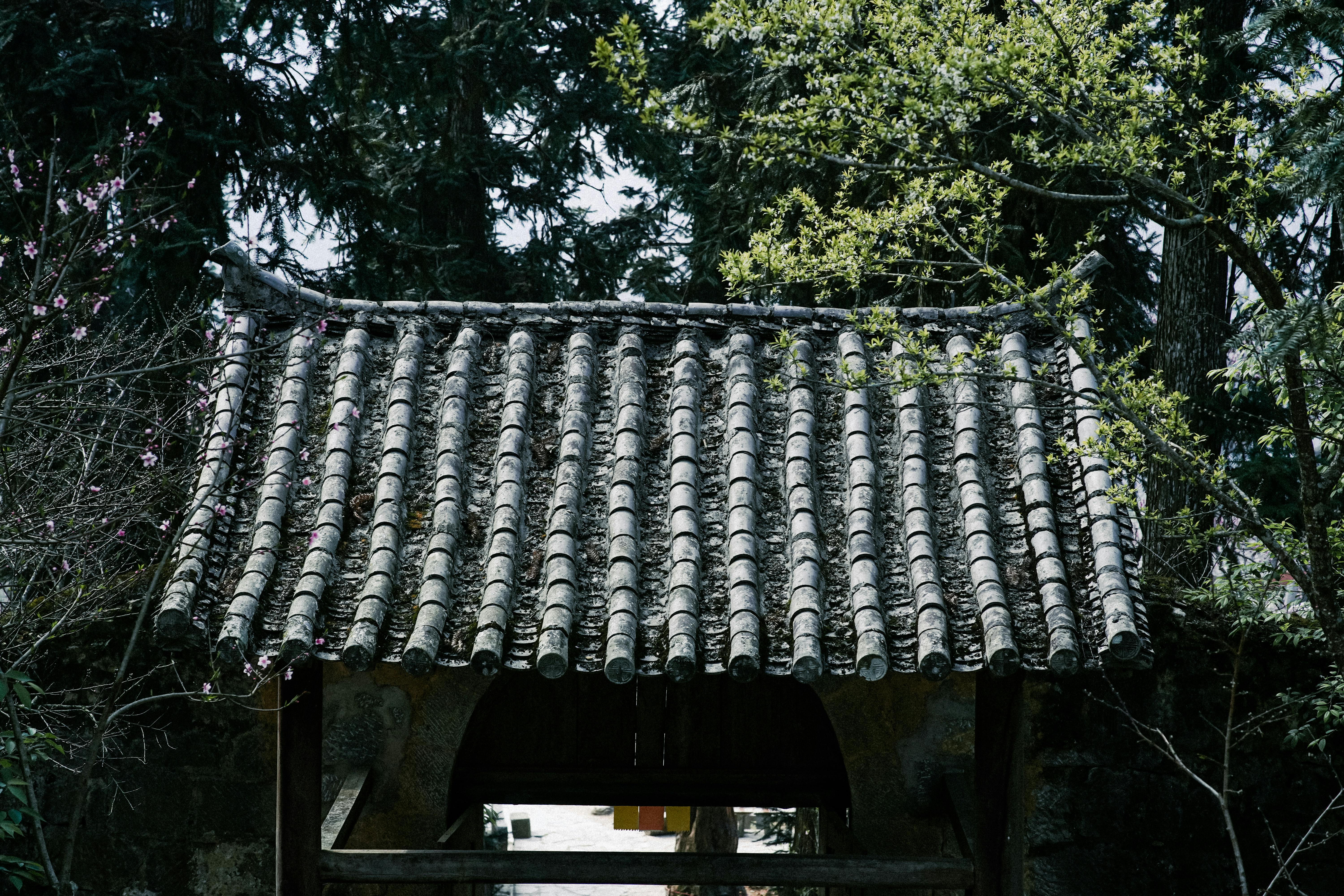 Konfüçyüs’ün öğretilerini, bilgeliği ve karakter gelişimini simgeleyen; saygı ve ahlaki değerleri yansıtan geleneksel bir atmosfer.