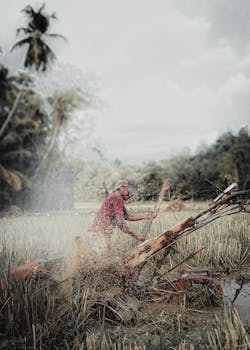 A news image related to a conflict between a farmer and a Patwari in Morena, Madhya Pradesh.  Local MP news.