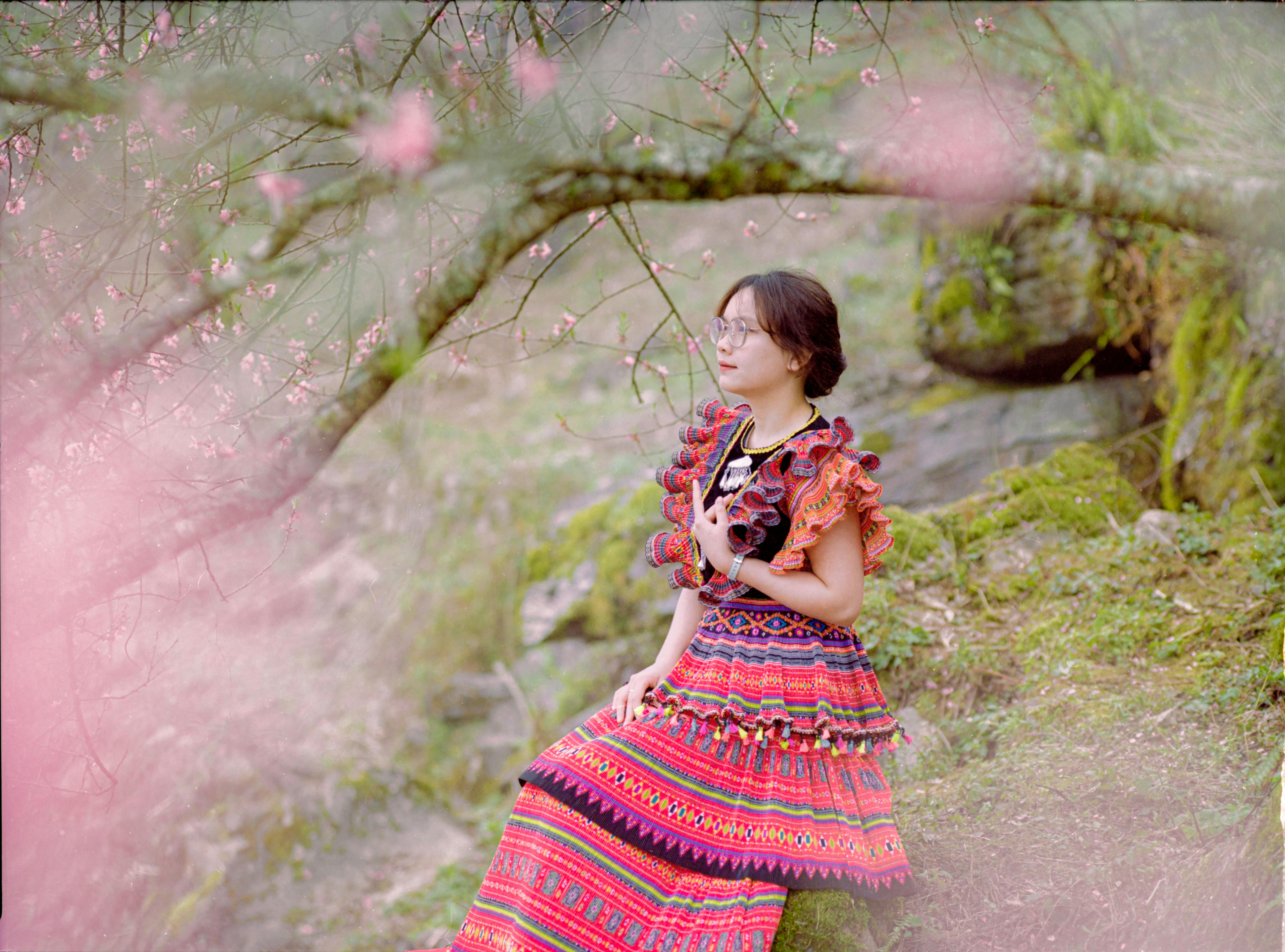 Free Woman in colorful traditional dress in a serene spring blossom setting. Stock Photo