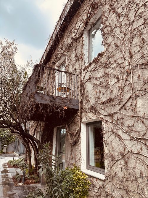Free Weathered building exterior covered with climbing plants and a rustic balcony. Stock Photo