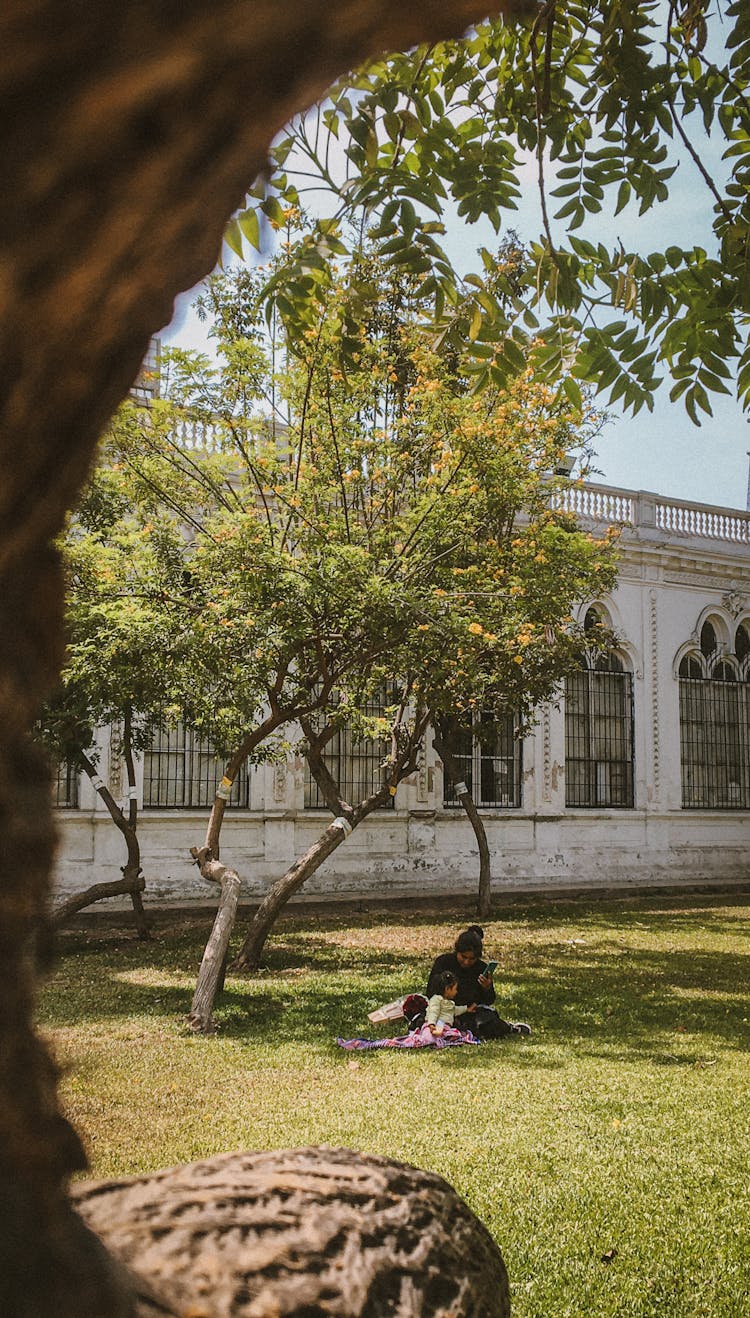 Mother With Daughter In A Park 