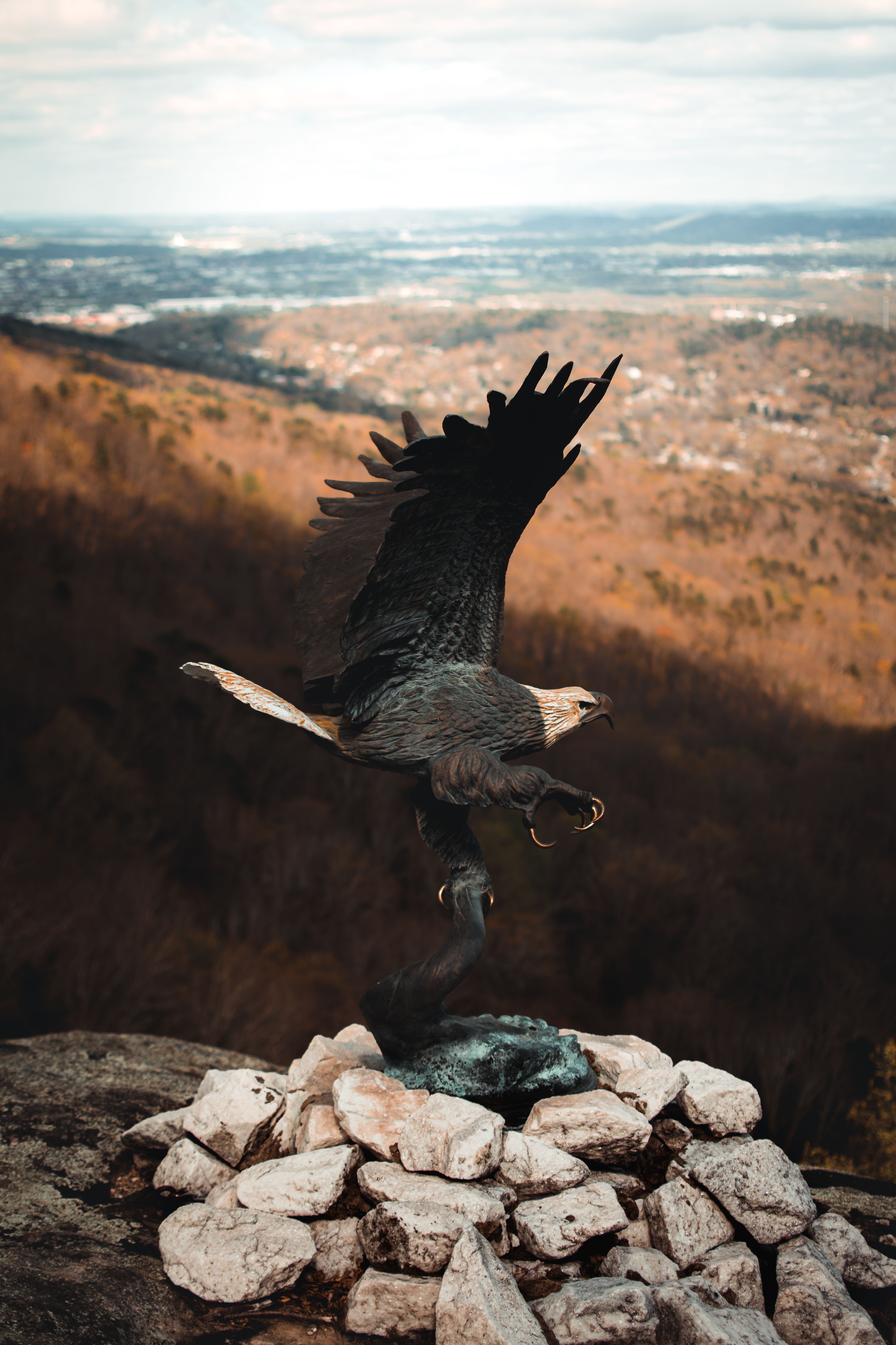 Captured in flight, an eagle spreads its wings over a rugged mountain landscape.