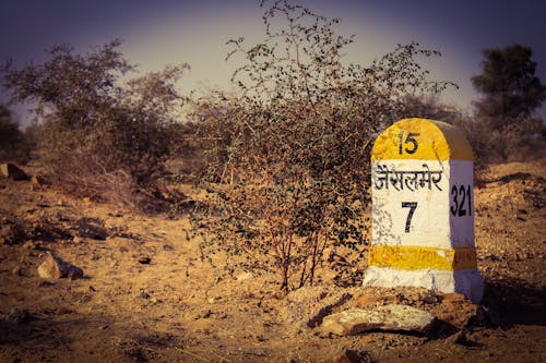 Free stock photo of bushes, desert, india