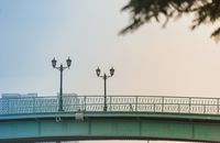 明亮的天空下，装饰着经典灯柱的优雅铁桥构成了一幅风景