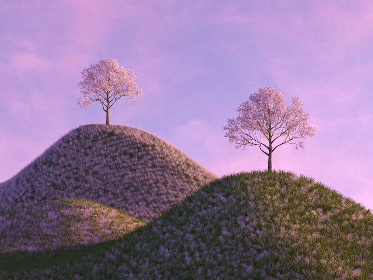 Trees On Hills On Springtime