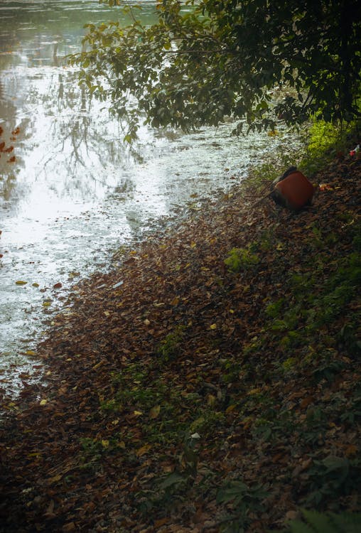 Immagine gratuita di divieto fluviale, fiume, ipnotizzante