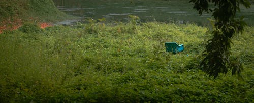 Foto d'estoc gratuïta de banc del riu, cadira, vista de la natura