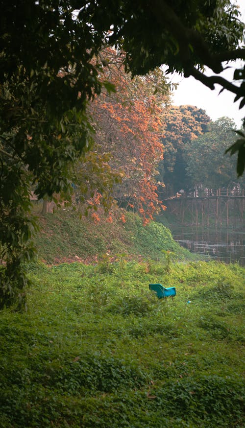 Foto stok gratis bangku, taman alam, tepi sungai