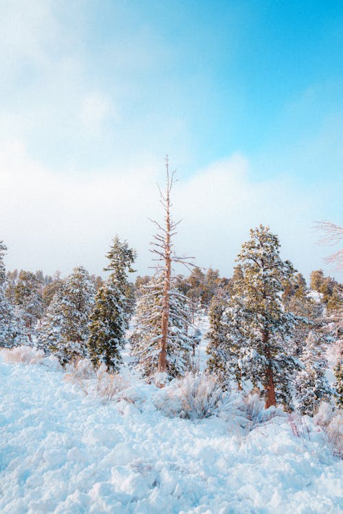 Fotobanka s bezplatnými fotkami na tému @outdoor, 4k tapety, cestovať