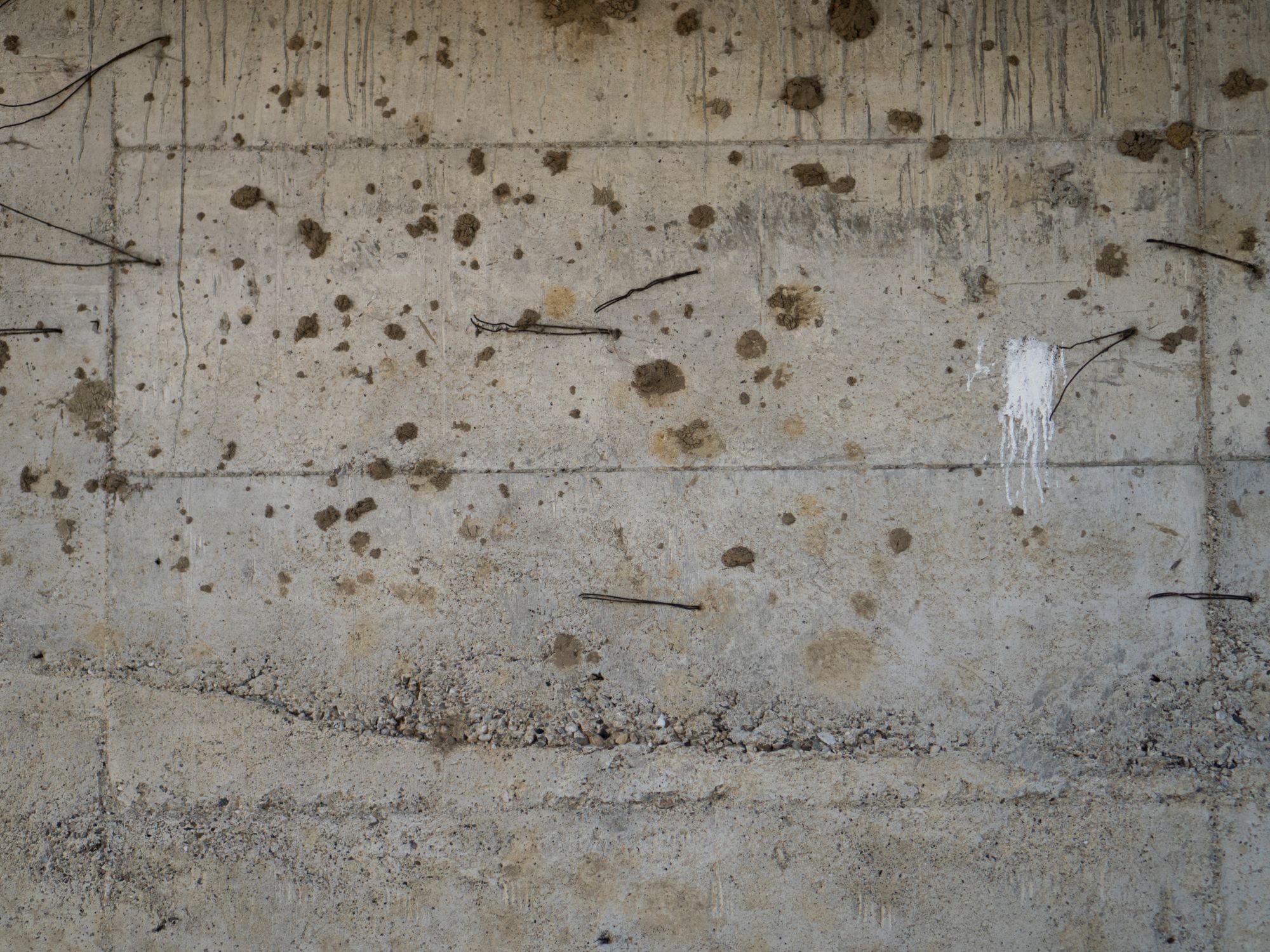 Painters & Decorators in Sydenham Hill, London — professional decorator painting a wall with a roller