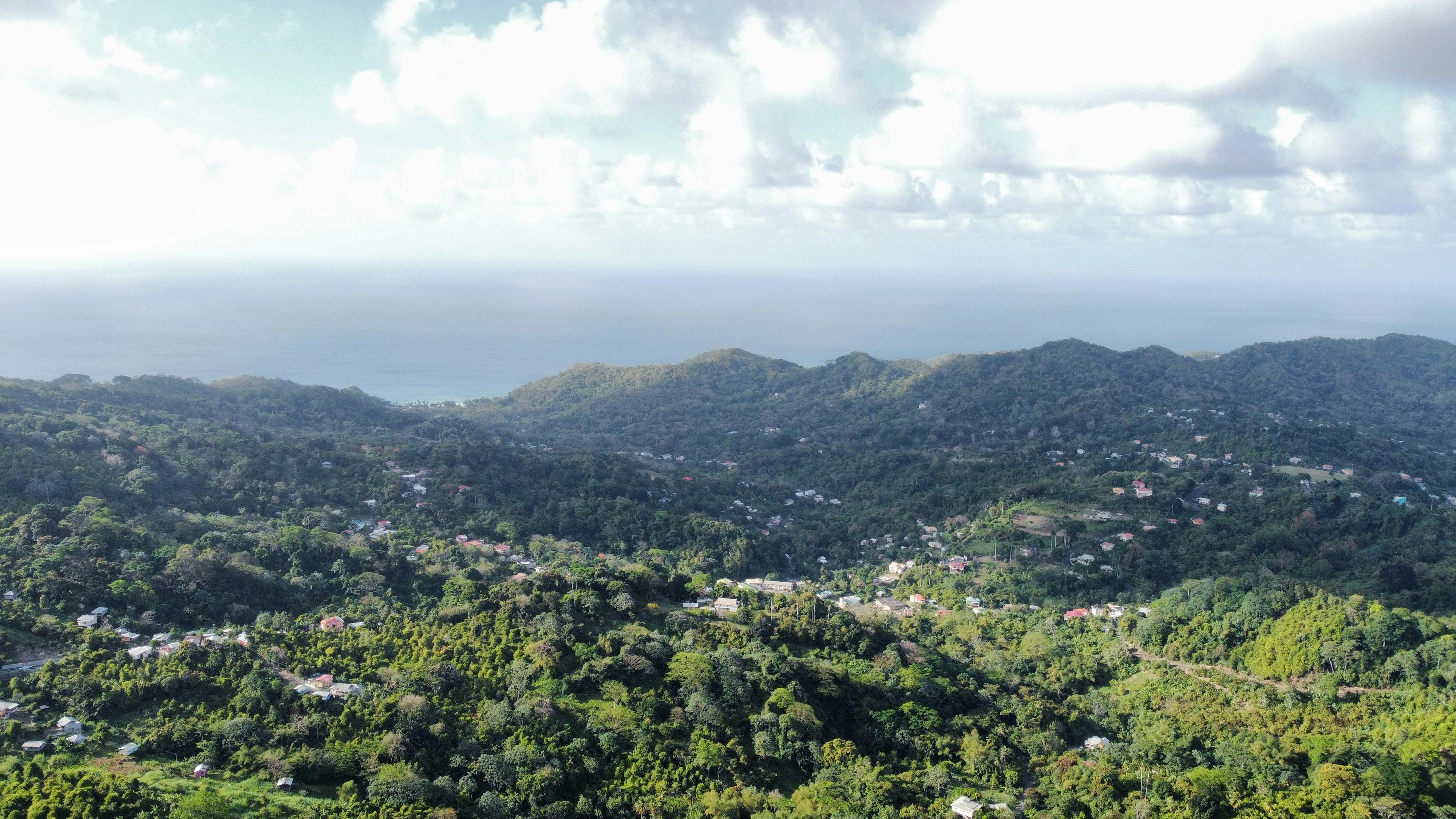 Ismail Bhamji Fotografía