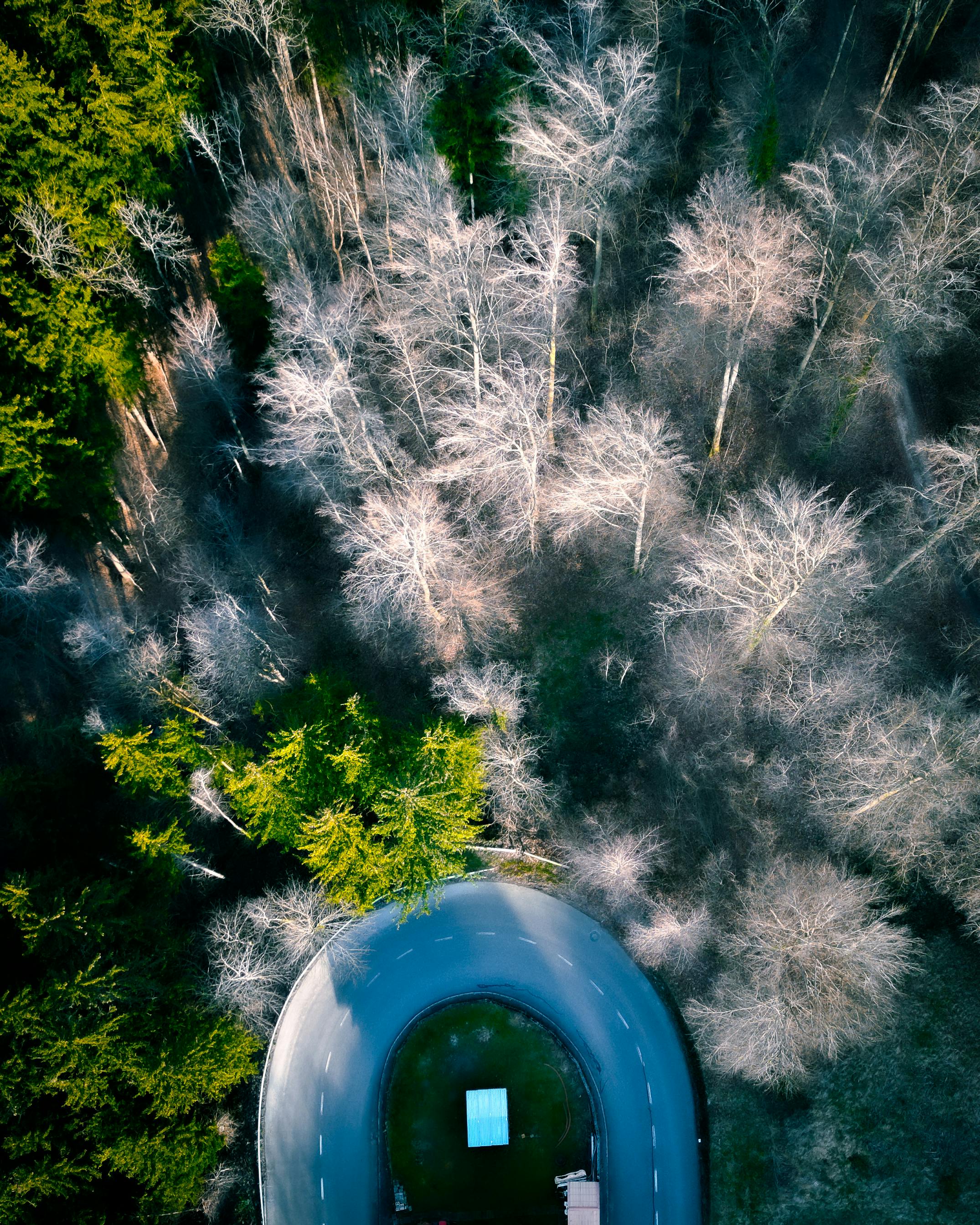 Drone view of a snowy forest and winding road in Sankt Ulrich, Austria.
