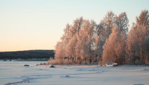 Gratis stockfoto met bevroren, landschap, meer