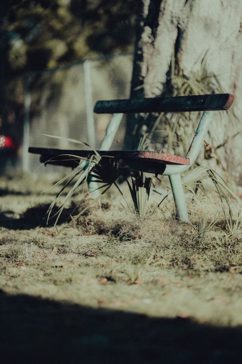 Free Weathered park bench amidst sunlit greenery, capturing a peaceful outdoor atmosphere. Stock Photo