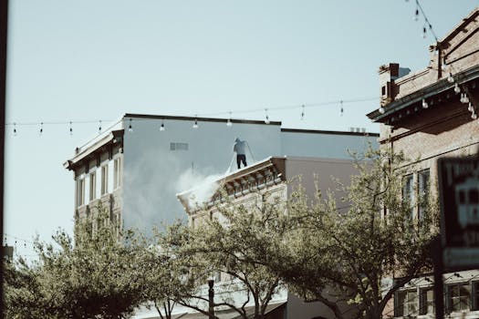 Photo by Connor McManus