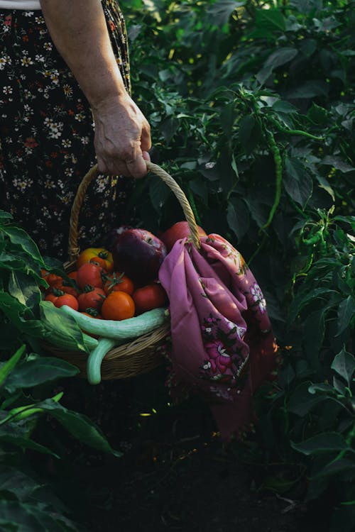 Fotobanka s bezplatnými fotkami na tému čerstvá zelenina, čerstvé ovocie, červené bobuľové ovocie