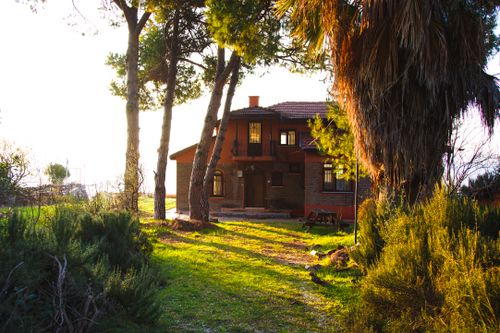 Free Beautiful rustic house nestled among lush greenery and tall trees, bathed in warm sunlight. Stock Photo
