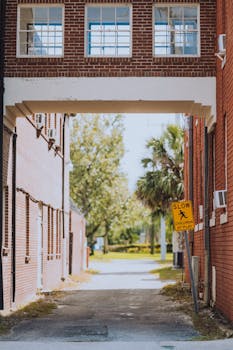 Narrow alleyway in the city with a school caution sign and lush greenery.