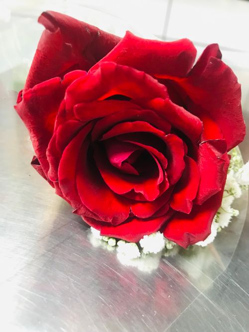 Free stock photo of 14 february, beautiful flowers, flower arrangement Stock Photo