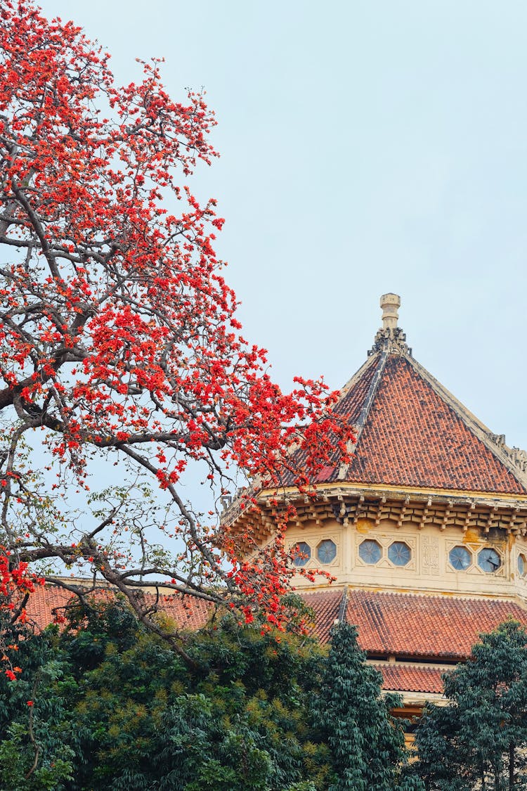 Trees And Tower Behind