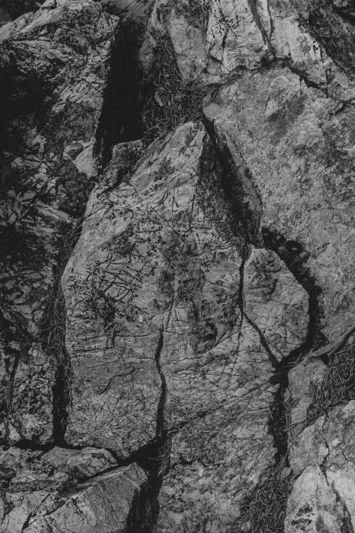 Free Close-up of rugged, cracked rock texture in California, in striking black and white. Stock Photo