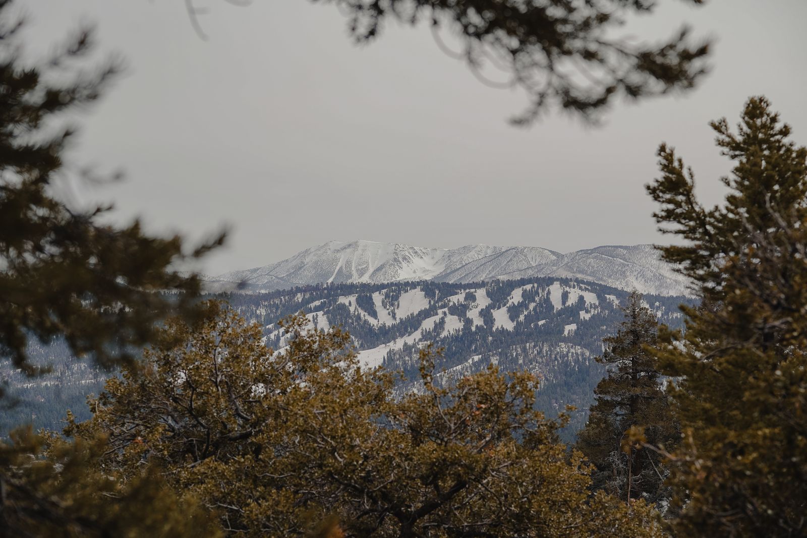 San Bernardino National Forest (Big Bear Lake)
