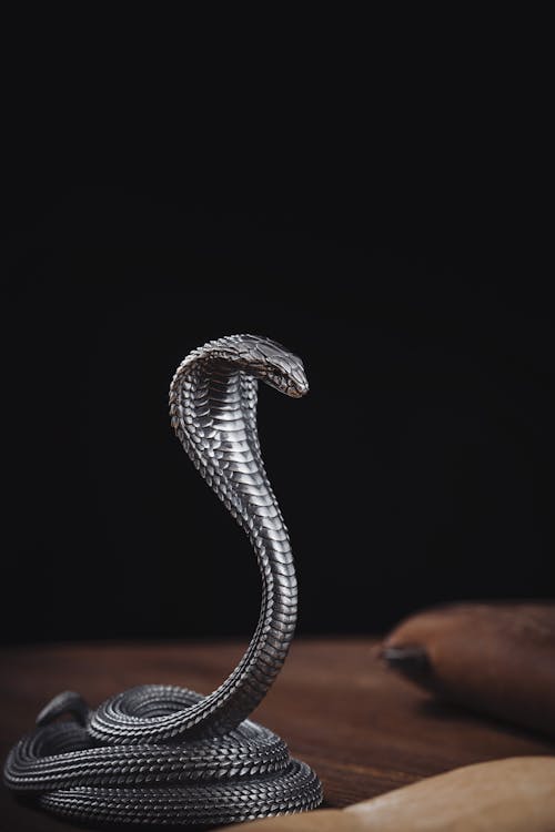 Бесплатное стоковое фото с вертикальный выстрел, выборочный фокус, змея