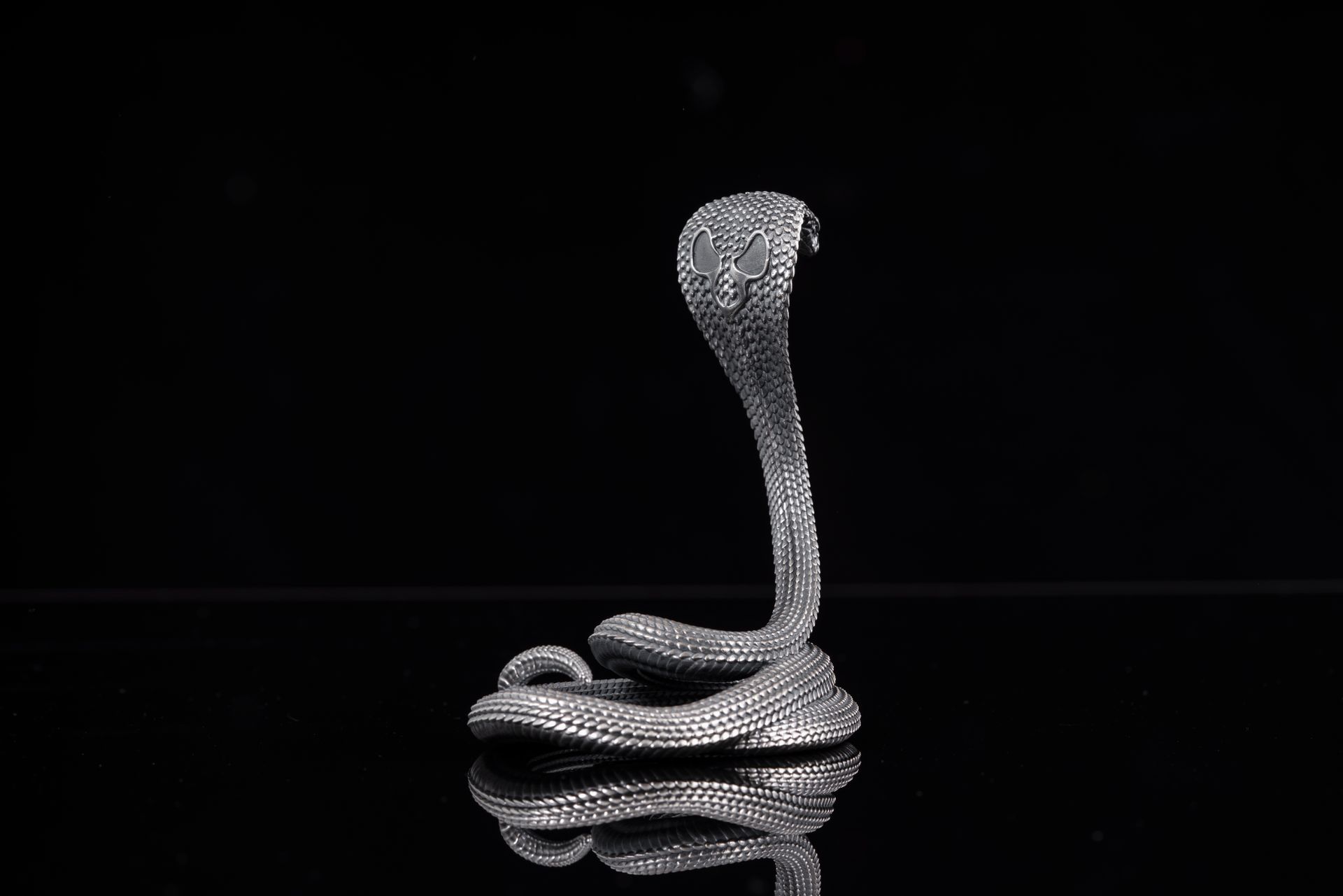 Elegant silver cobra figurine captured in a studio setting against a black background, showcasing intricate details.