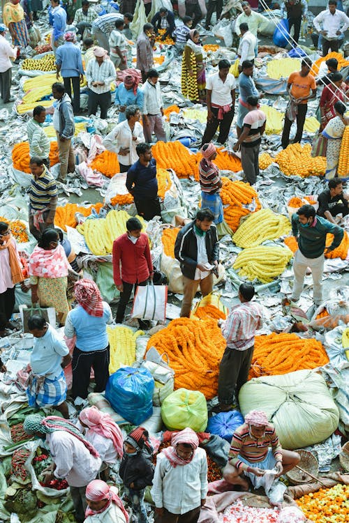 Imagine de stoc gratuită din articole, bazar, comercializare