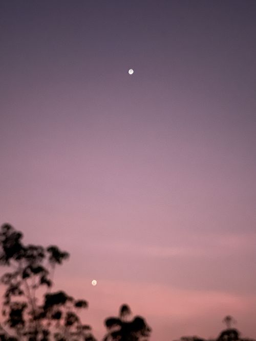 Free A peaceful twilight sky featuring the moon and stars over silhouetted trees, creating a tranquil scene. Stock Photo