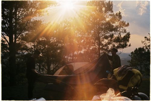 Free Men setting up a tent in the forest with sunlight streaming through the trees. Stock Photo