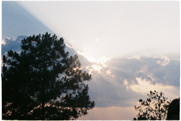 Sunlight Behind Clouds On Sky Over Trees