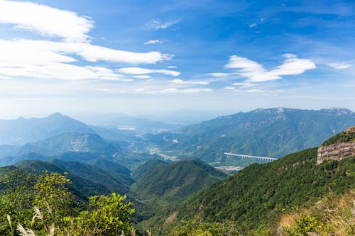 Foto profissional grátis de árvores, cenário, céu azul