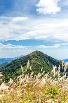 Breathtaking mountain view with lush greenery and dramatic sky, perfect for nature lovers.