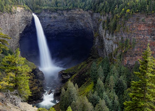 Foto d'estoc gratuïta de boscos, cascada, corrent