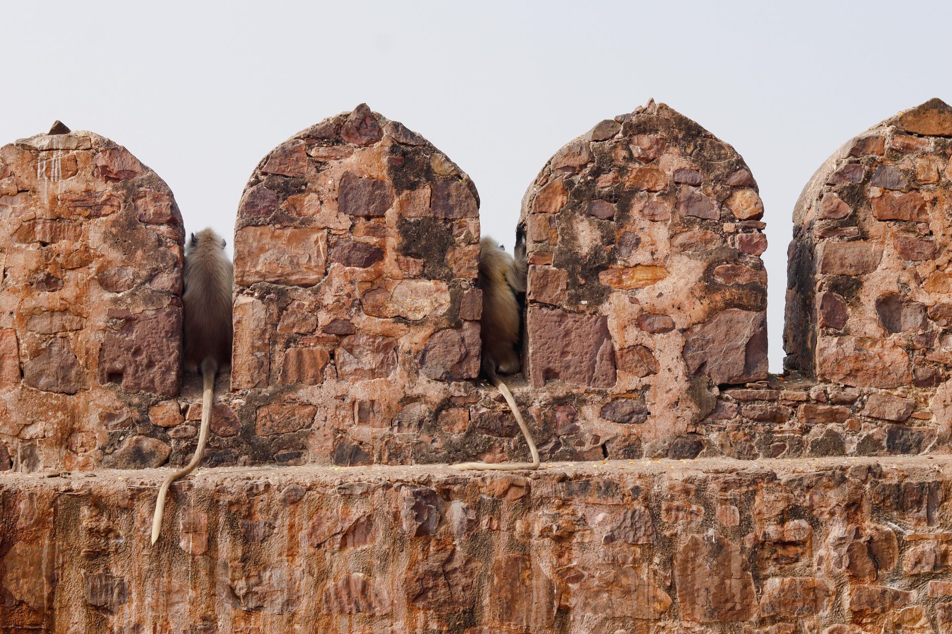 Sloping rubble ramparts and bastions of Tughlaqabad Fort on a rocky ridge